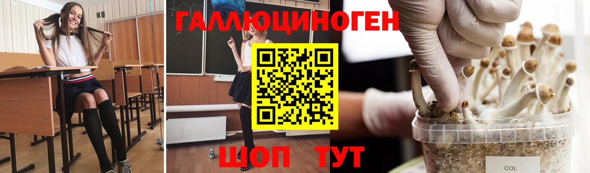 хочу наркоту  Псилоцибиновые грибы Psilocybine cubensis  Вход с VPN  Красный Сулин 
